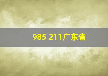 985 211广东省